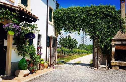Sud Bed & Breakfast | Corte le Vigne