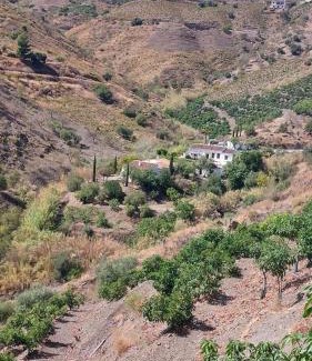 El Borge House | Cortijo Lagar de Luisa