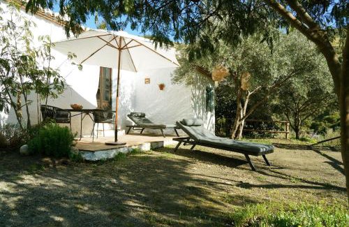 El Borge House | Cortijo Lagar de Luisa