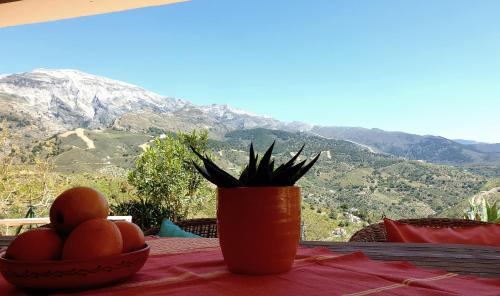 Sedella House | Cortijo Los Caballos