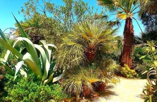 Cullar House | Cortijo Paraiso