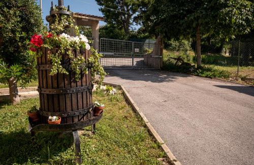 Pietra La Croce Apartment | Cortile nel Conero
