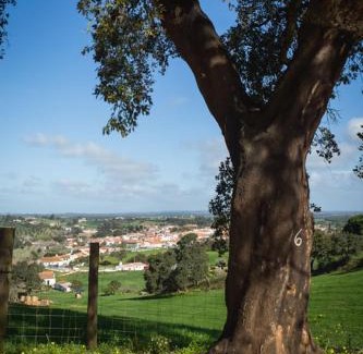 Ermidas-Sado Villa | Costa Vicentina Villa with Garden Pool and View