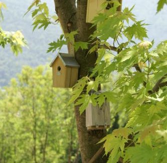 Cavedine Bed & Breakfast | Coste del Gaggio - Country House B&B - Garda Trentino