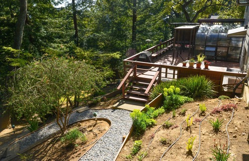 Piedmont Pines House | Cosy 1950 newly restored home in the woods