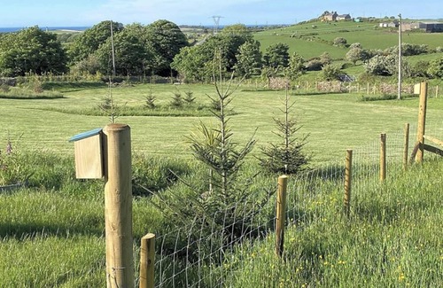 Cylch-Y-Garn House | Cosy Annexe Sleeps 4