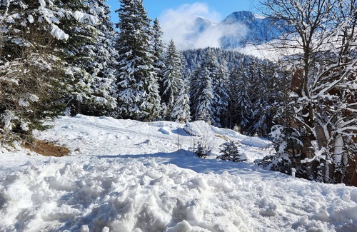 Chamrousse Apartment | Cosy apartment Antlana