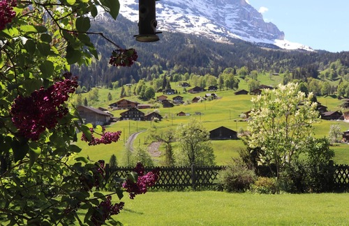 Grindelwald Ski Chalet | Cosy Chalet with big garden and mountain view, garage/Free WIFI
