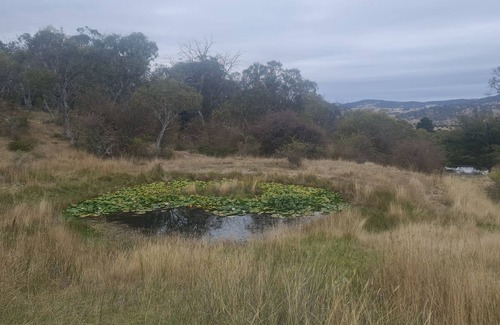 Berridale Other | Cosy Farmhouse Nestle in Native Bushland - 25 Minutes From Jindabyne!