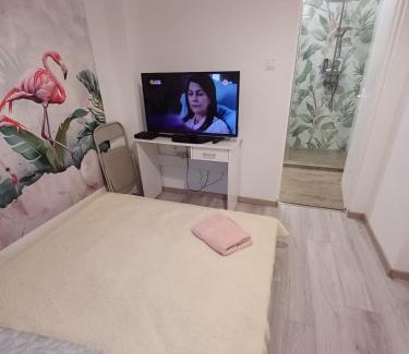 Kotelek Apartment | Cosy Flamingo S in Budapest