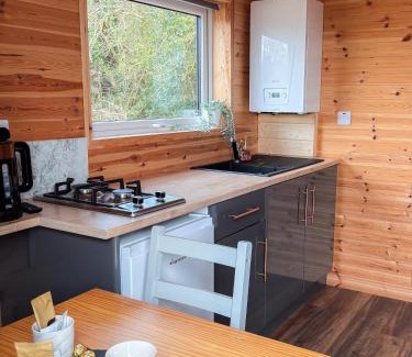 Antrim Apartment | 'Cosy Gem' Cabin Woodland Retreat Randalstown NI