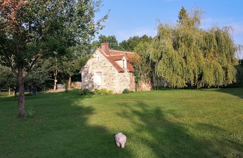Saint-Germain-des-Grois Bed & Breakfast | Cosy guest house - relaxation, games and conviviality
