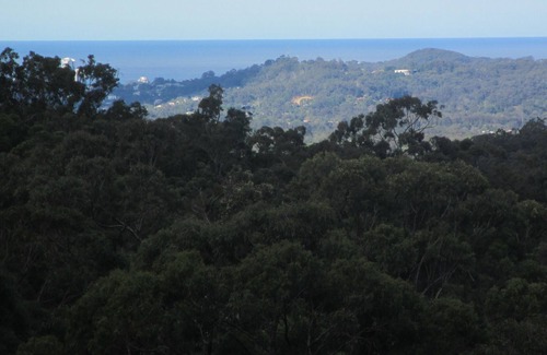 Bonogin Cottage | Cosy hinterland cottage with ocean and forest views