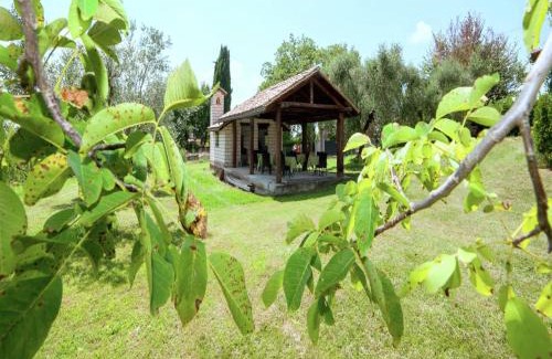 Selci House | Cosy holiday home in Selci with swimming pool