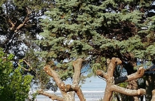 Tokomaru Bay House | Cosy Kiwi Cottage with Sea Views and Native Bush.