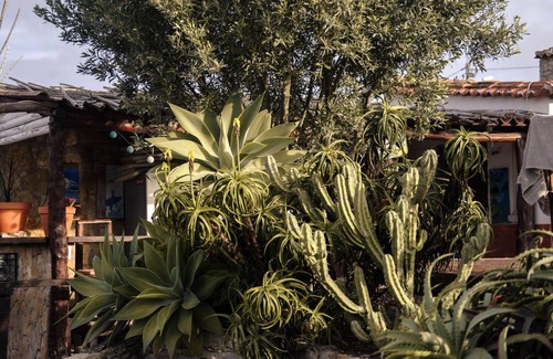 Assafora Apartment | Cosy Mosey (1 bedroom + bathroom and outdoor cooking)