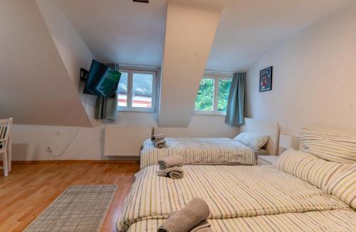 Biebrich Apartment | Cosy Old Studio at Schlosspark