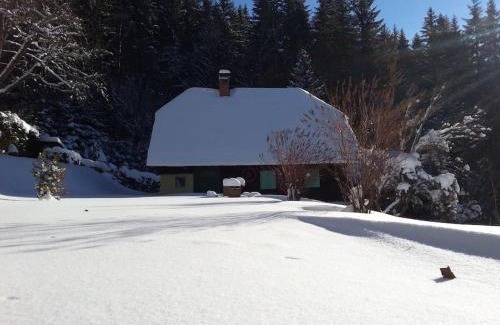 Pohorje Ski Chalet | Cosy & peaceful cabin off the grid