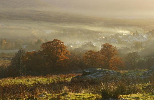 Killin Cabin | Cosy Rowan woodland lodge no1