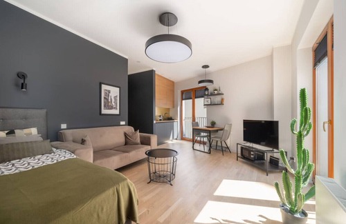 Old Town Apartment | Cosy studio apartment in Ridzenes residence