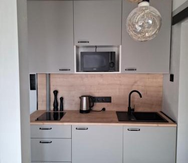 Gorzow Wielkopolski Apartment | COSY Studio City Center