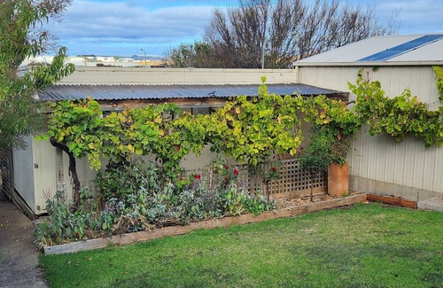 Warrnambool House | Cosy unit under the vine with separate bedroom and toilet. nnn
