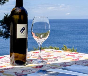Rio nell'Elba Apartment | Cota Quinta