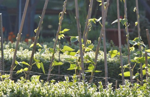 Irstead Bed & Breakfast | Cotenham Barn