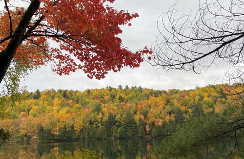 Val-des-Monts Cottage | Cottage Hibou. Cozy Waterfront Cottage 45 Mins From Ottawa