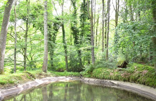Harre Cottage | Cottage in the heart of the Ardennes woods with garden