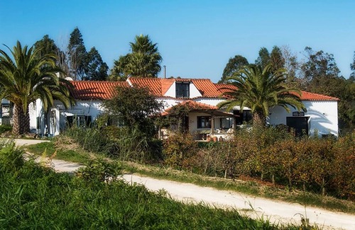 Caldas da Rainha Cottage | Cottage on vineyard