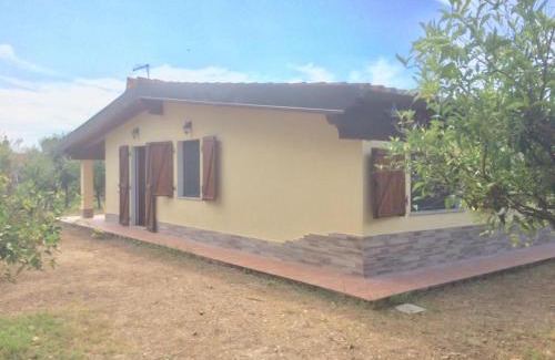 Iglesias House | COTTAGE SU MERTI country