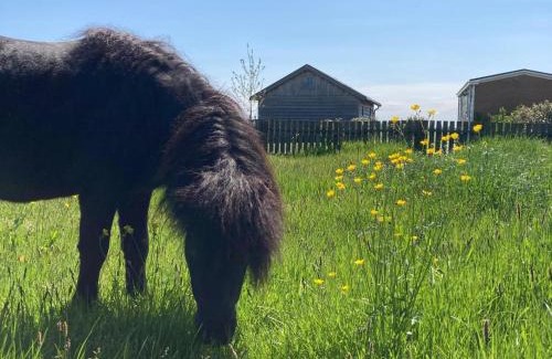 Tjerkgaast House | Cottages in Friesland with Farm Experience