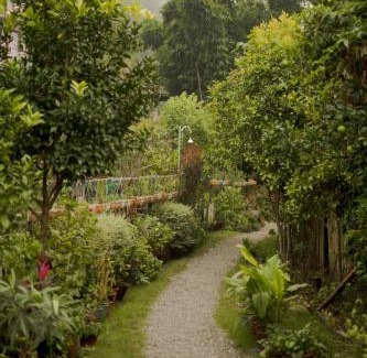 Naukuchiyatal Resort | Cottages @ Village