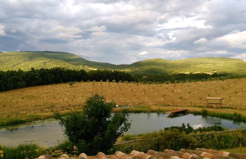 Castelnuovo di Val di Cecina Apartment | Country farmhouse with large organic swimming-pool and garden