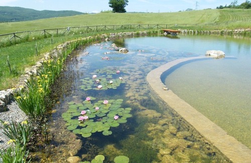 Castelnuovo di Val di Cecina Apartment | Country farmhouse with large organic swimming-pool and garden