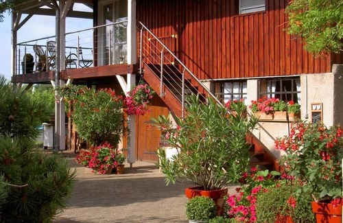 Scherwiller House | Country Cottage/Gite - SCHERWILLER