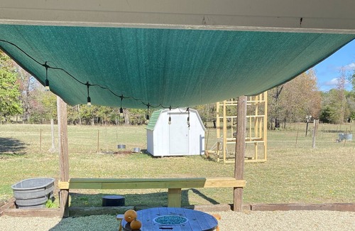 Swink Cottage | Country Cottage on 50 Acre Farm. Fishing, farm animals, tranquillity!