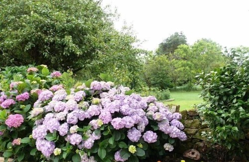 Sulniac Cottage | Country gite 15 mn from the sea for 2/4 people