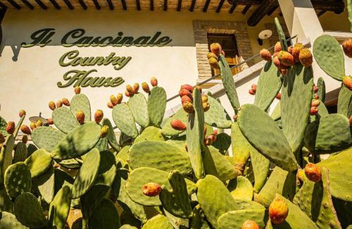 Colonnella House | Country House Il Cascinale