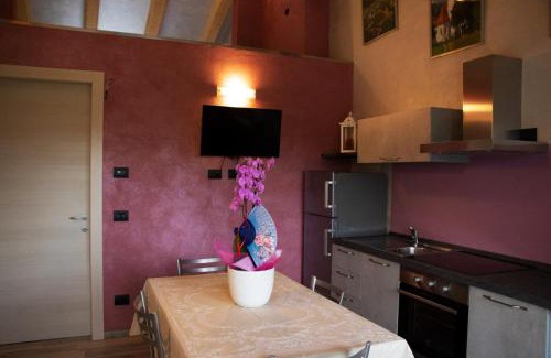 Serralunga d'Alba Apartment | Country house la rosa dei vini