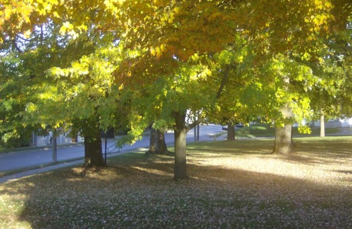Prince Edward Bed & Breakfast | Courthouse BB Bed & Bath