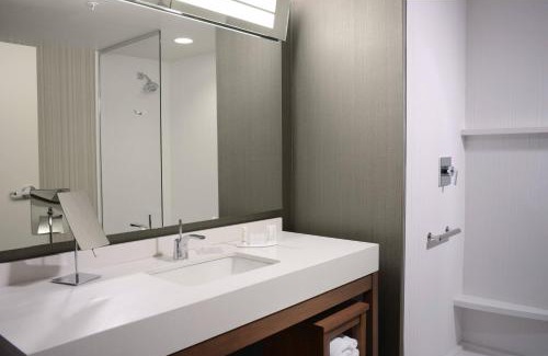 The Colony Hotel | Courtyard by Marriott Dallas Plano/The Colony