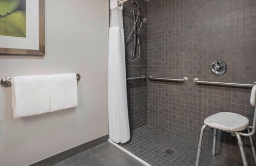 Bearss Plaza Hotel | Courtyard by Marriott Tampa North/I-75 Fletcher