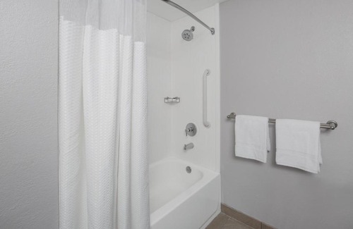 Oldsmar Hotel | Courtyard Oldsmar