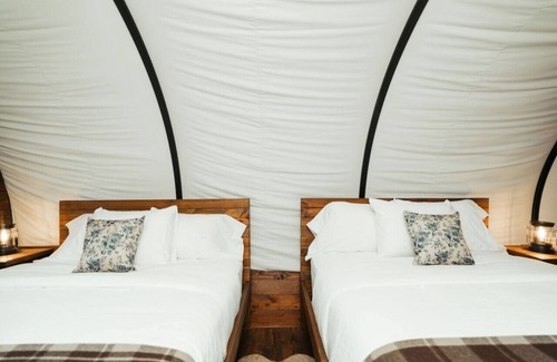 Branson Other | Covered Wagon on Real Ranch | Trails, Kayaks, & Animals