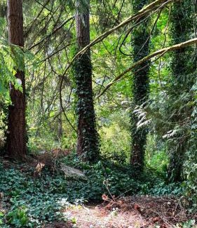 North Cowichan House | Cowichan Valley Retreat with Sauna & Free EV Charger