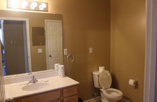Lexington Apartment | Cozy 1-bedroom apartment located on the southwest side of Lexington KY.
