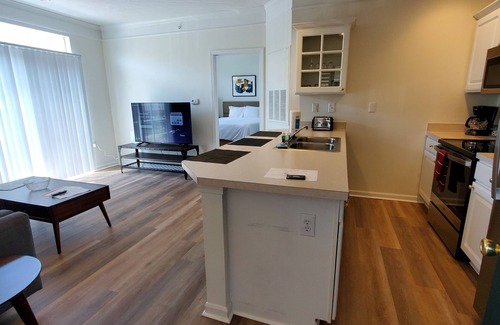 Dublin Apartment | Cozy 1-bedroom corporate apartment in fabulous Dublin with WiFi, Roku!