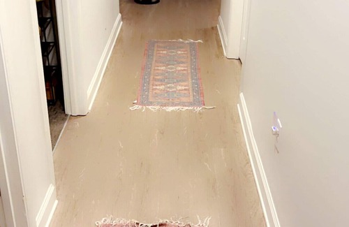 College Park Apartment | Cozy 1 bedroom to share in peaceful Downtown College Park Midrise